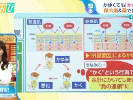 冬の乾燥肌にさよなら！かゆみを撃退する秘訣