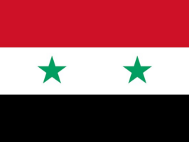 シリア情勢：アサド政権崩壊でイラン500億ドル損失の危機、巨額資金のロシア流出も明らかに