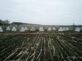 ウクライナ紛争：北朝鮮兵、ロシア支援で100人以上死亡か - 韓国議員が衝撃の証言
