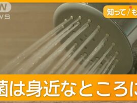 【肺NTM症とは？】咳や痰が長引く…原因と対策、知っておくべき知識まとめ