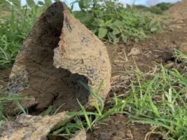 硫黄島の真実：1万人の英霊と著者の魂を揺さぶる体験