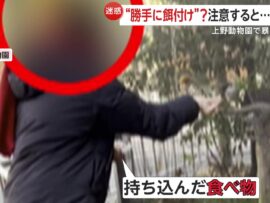 上野動物園で餌付けトラブル！外国人がおにぎりで鳥に餌を与え、注意されると暴言