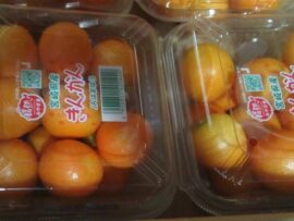 【食品安全】日本産キンカンなど、台湾で残留農薬基準違反相次ぐ！輸入果物への検査強化へ