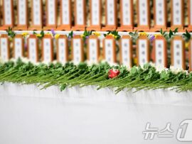 済州航空機衝突事故：キア・タイガース広報チーム長、家族旅行中に帰らぬ人に
