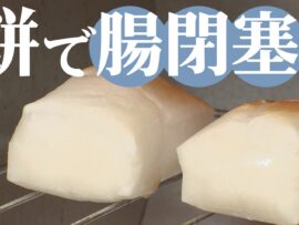 餅の危険性：窒息だけじゃない！腸閉塞の恐怖も潜む年末年始の伝統食