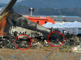 チェジュ航空機事故：電源喪失が惨事招く？専門家分析と今後の調査