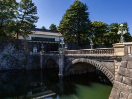 令和の皇室、伝統と革新の狭間で：オンライン行幸啓が示す未来