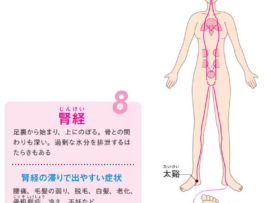 【若返りの秘訣】自分でできる簡単整体で老化を予防！湧泉のツボ刺激で冷え・むくみも解消