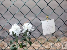 済州航空事故：悲しみを乗り越え、乗客の安全を守る乗務員たちの献身