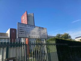 2月1日午後入試に見る2025年首都圏中学入試女子受験生の動向予測