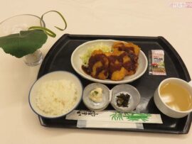 国会中央食堂のチキンカツ定食：政治家も舌鼓を打つ魅惑の味を徹底解剖！