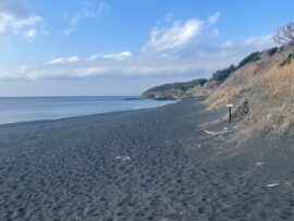 伊豆大島リゾートバイト女性遺棄事件：畳屋の三代目、愛憎劇の果てに