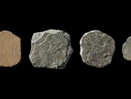 5000年前の火山噴火と「太陽の石」：デンマークの古代ミステリーを読み解く