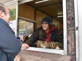 地中からごみ、場内の松も次々と倒れ…人気アニメシリーズの舞台、湖畔キャンプ場が営業終了へ　「聖地」との別れにファンから惜しむ声相次ぐ