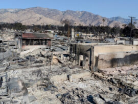 カリフォルニア山火事後の雨：恵みの雨か、新たな脅威か？