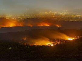 イタリアの山火事、マフィアの影？深刻化する環境問題と組織犯罪の闇