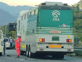 競走馬を運ぶ馬運車との事故…賠償金はいくら？ドライバーの不安を解消！