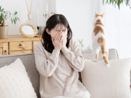 【花粉症対策2024版】家の中の花粉を徹底的に撃退！快適な春を迎えよう！
