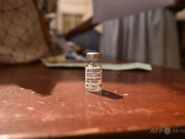 ウガンダ首都でエボラ出血熱発生、看護師が死亡 - 専門家派遣・ワクチン接種進む