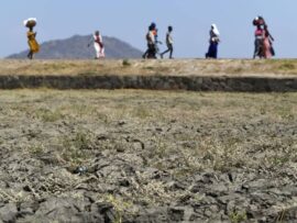 マラウイの食糧危機：気候変動の現実とトランプ氏の影