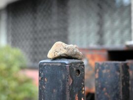 神戸市で多発！門扉の「小石」は空き巣のマーキングか？
