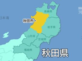 秋田県配布の妊娠啓発冊子、表現に批判殺到。「卵子の老化」イラストが物議