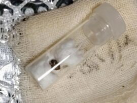 へその緒に高濃度ダイオキシン類　カネミ油症患者、子世代に影響か