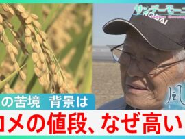 コメ価格高騰の真相：令和のコメ騒動から学ぶ日本の食卓の未来