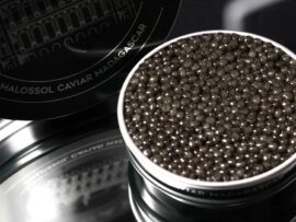 アフリカ初のキャビア：マダガスカルの奇跡、マンタソア湖が生んだ最高級の味
