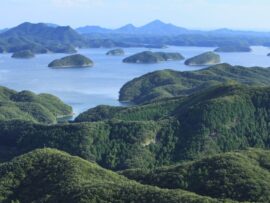 対馬の海に消えた「JAの神様」：巨額横領事件の真相とは？