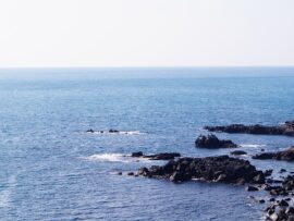 １時間の死闘の末に釣り上げられた体長だけで１８３センチの「伝説の深海魚」