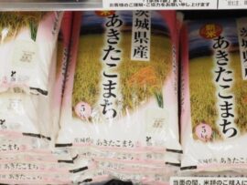 米不足と価格高騰の真相：令和の米騒動、その原因と対策を探る