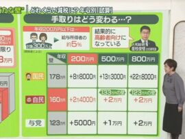 年収の壁：160万円、133万円…複雑化する議論を読み解く