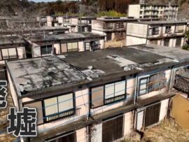 千葉県茂原市の巨大廃墟「真名団地」：ゴーストタウンと化した昭和の残影