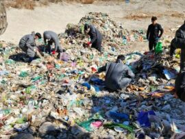 270万円をゴミと一緒に…！世宗市で奇跡の回収劇、職員の献身的な捜索に称賛の声