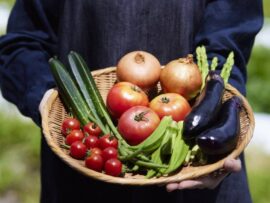 【有機給食】本当に子どもの健康に良いの？ 品川区の全校導入で議論沸騰！