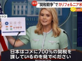 アメリカ産米の関税撤廃で日本の食卓はどう変わる？価格と影響を徹底解説！