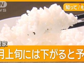 備蓄米放出で米価下落なるか？期待と不安が交錯する消費者心理