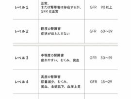 和食で腎臓病リスク！？知らないと怖い食生活の落とし穴【医師監修】