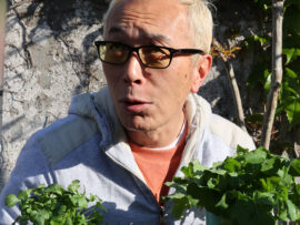 『マジカル頭脳パワー！！』古参ファンを失望させた“おバカ”集結状態…永井美奈子の“白すぎ”照明にも集まる疑問