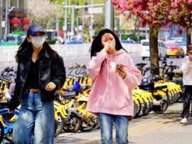 中国でも花粉症は“人災”だった─当局も焦る市民の怒り