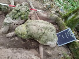 約3000年前のマヤ文明の都市遺跡発見 グアテマラ