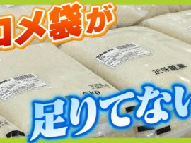 「てんやわんやで仕事パンパン」備蓄米の全国流通が滞る課題は『精米ひっ迫』と、まさかの『米袋不足』！コメ袋大手メーカーに殺到した依頼内容に驚き【解説】
