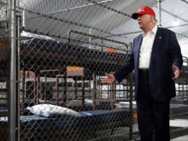 トランプ氏、ワニ生息地に移民収容　「アリゲーター・アルカトラズ」
