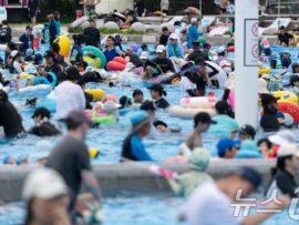 ウォーターパークで上半身裸、退場命じられた男性「ビキニは許可、なぜ私は不可なのか」韓国で論争