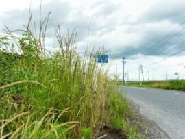 島根の記憶喪失男性「田中一」さんの身元特定へ急展開：情報社会がもたらす変化