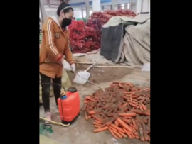 【動画】中国産の野菜やっぱダメだった模様「化学溶液で処理された人参に泥を付け新鮮野菜に変身させる」