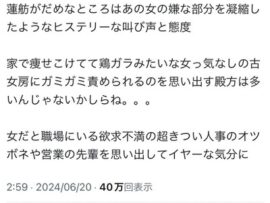 めいろま「蓮舫がだめなところはあの女の嫌な部分を凝縮したようなヒステリーな叫び声と態度」