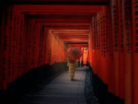 【朗報】日本人、世界で唯一「日本耳」を持つ特殊民族だったｗｗｗｗ