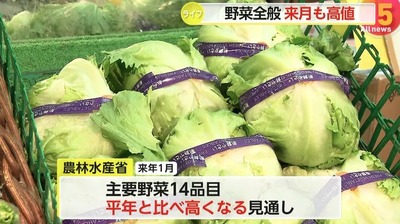 【画像】福島みずほ「お好み焼きを作りました。これはキャベツ一杯のお好み焼き」嫌味かと話題、現在キャベツ3倍以上の高騰が報道「庶民は食べられない」